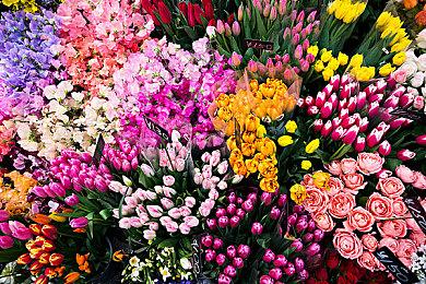  《循环8 降神》“红姬”角色预告 3月16日发售